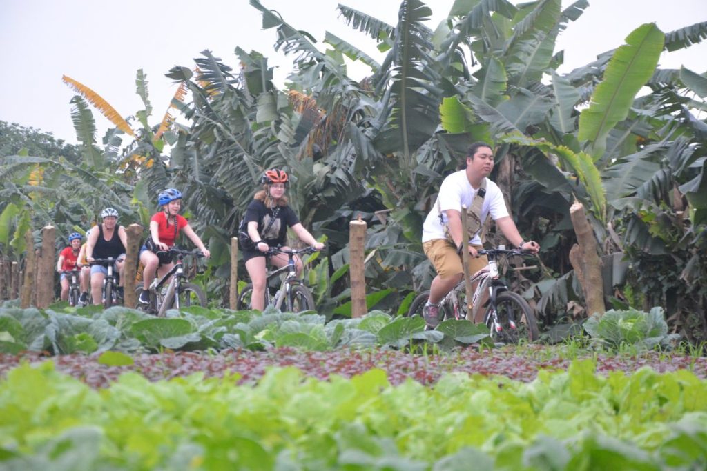 Aerial view of Banana Island in Hanoi