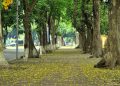 Hanoi in Autumn: A Timeless Journey through History, Culture, and Nature