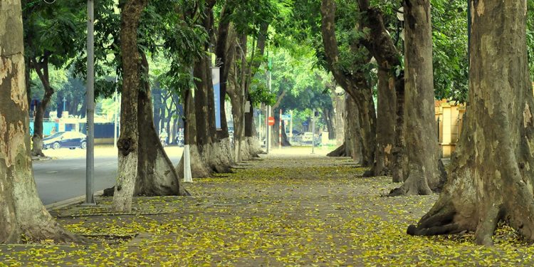 Hanoi in Autumn: A Timeless Journey through History, Culture, and Nature